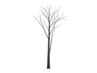 Obraz premium 3D Single dead tree silhouette with bare winter branches and a black trunk isolated on a white background for nature vector art design illustration