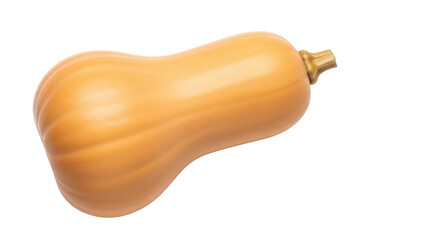 Isolated butternut squash, sweet winter vegetable popular in autumn cooking with rich flavor