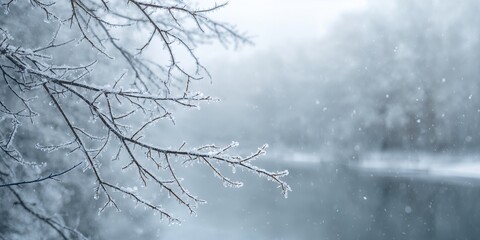 Winter forest scene with snow-covered tree branches coated in hoarfrost, seasonal preservation and natural frost formation