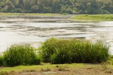 Crocodile Lake in Cat Tien National Park. Vietnam.