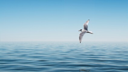 Fototapeta premium A low-flying Common Tern over water capturing insects, illustrating avian feeding activity