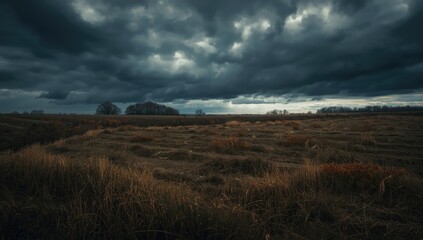 Gloomy autumn scene showing a harvested farm field with wild grass and a stormy sky, seasonal change awareness