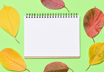 A notebook with a checkered pattern among yellow and red cherry leaves on a green background