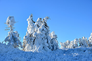 Eisige Winterlandschaft auf dem Brocken (Harz)
