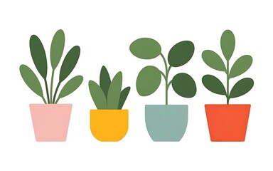 Four colorful potted houseplants with green leaves in pink yellow blue and red pots