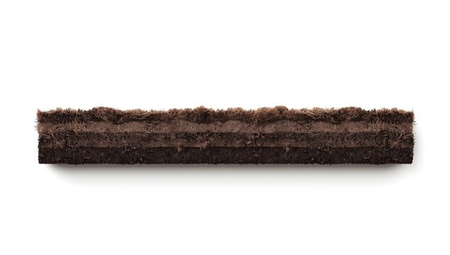 Soil or dirt used as a textured backdrop in environmental scene, focusing on natural elements