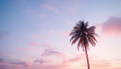 A lone palm tree silhouetted by a serene sunset sky with soft pastel colors, ideal for editorial header backgrounds