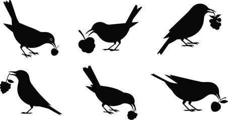 Set of Minimalist black bird eating a berry silhouette vector icon © Vector.com