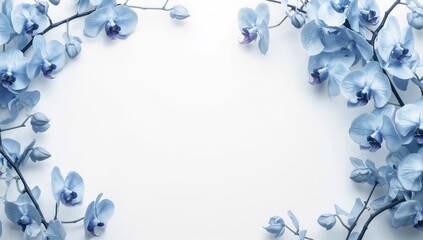 Fototapeta premium Floral border featuring blue orchids on a white background, suitable for banner backgrounds and graphic design