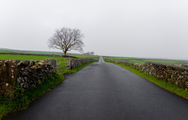 road in the field