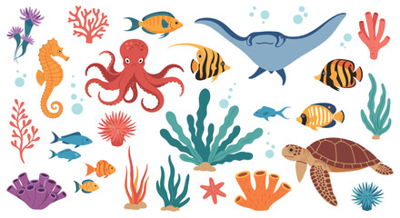 Extensive collection of colorful marine life including an octopus sea turtle fish and various coral reefs.