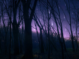 Shooting stars in the forest. Meteor shower in the sky above the trees. Dreamy night landscape with bright fireball trails.