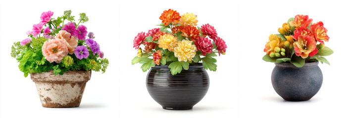 Three vibrant flower arrangements in small pots showcase variety of colorful blooms, each in distinct pot style. first pot is rustic, second is sleek and modern, and third is textured dark design
