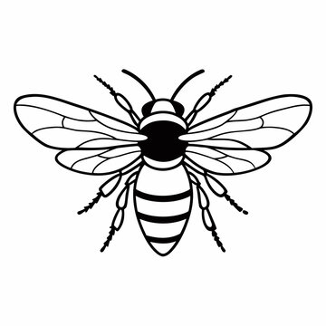 Minimalist Bee Vector &ndash; Clean Black & White Insect Art

