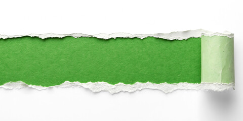 A strip of textured green paper with realistic torn edges, blank for text isolated on a white or transparent background.