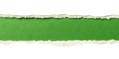 A strip of textured green paper with realistic torn edges, blank for text isolated on a white or transparent background.
