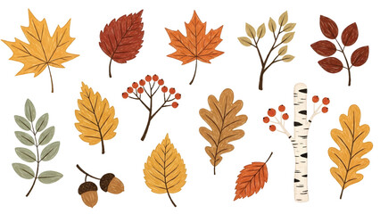 Vibrant autumn leaves and branches with acorns and berries arranged in a visually appealing pattern