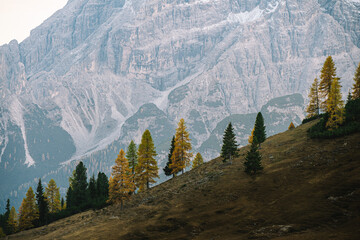 Mountain Plateau Landscape Scene - Prato Piazza Dolomites Italy - Autumn Fall Alpine rolling hills with forests and golden trees - castles, roads and mountains 