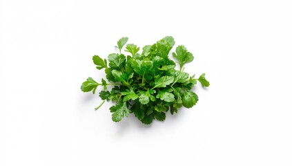 Obraz premium Fresh watercress shown as a leafy vegetable, highlighting healthy eating, World Food Day