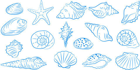 Blue seashells and starfish series of hand-drawn illustrations, coastal illustration set，Suitable for beach-themed designs, summer stationery, scrapbooks, nautical brand promotions