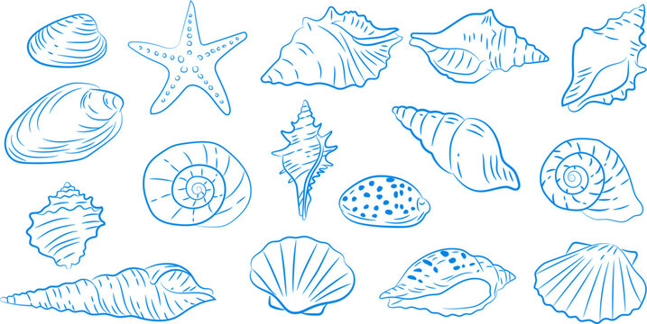 Blue seashells and starfish series of hand-drawn illustrations, coastal illustration set，Suitable for beach-themed designs, summer stationery, scrapbooks, nautical brand promotions