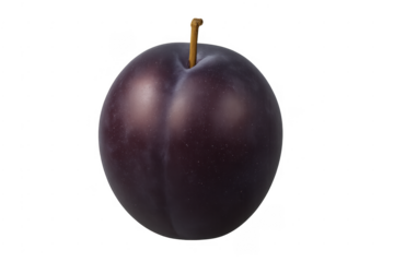 Fresh purple plum fruit with small stem