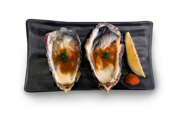 Oyster lovers , Fresh Seafood over white background