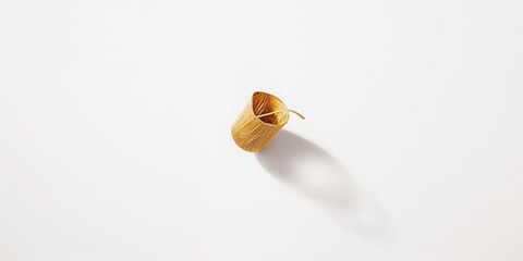 Young bamboo shoot with dry texture isolated against white backdrop for culinary or botanical use