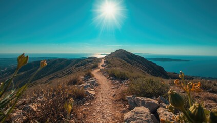 Winding mountain path with uneven surfaces highlighting terrain features for trail safety and maintenance planning