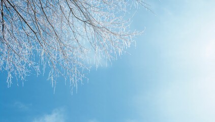 Ice-coated tree branches during winter, illustrating seasonal change and potential for ice damage