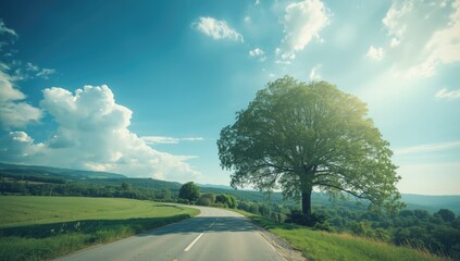 City street with fall leaves, designed for editorial header backgrounds