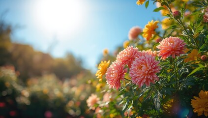 Colorful flowers in full bloom with vibrant greenery and sunlight, springtime nature