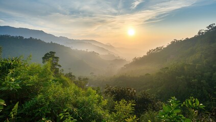 Scenic mountain terrain with lush rainforest and morning fog in a tropical hill area, ideal for wallpaper use