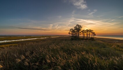 Fototapeta premium Twilight scene of salt marshes on South Carolina Sea Islands, highlighting natural coastal landscapes