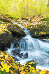 Landscape image with small creek