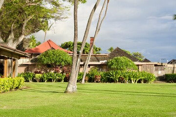 Kailua-Kona's grassy plaza and palm trees