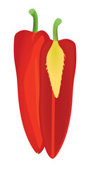 Red pepper on white background, vector