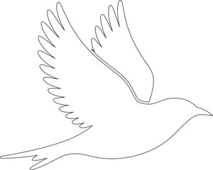 Continuous line drawing of a small bird flying with detailed wings on transparent background