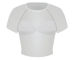 Grey women crop top. vector illustration
