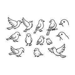 Obraz premium set of birds on white