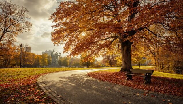 Autumn scene in Fronger Park featuring trees and sky, ideal for background or landscape layout in nature publications