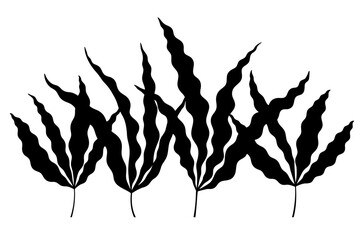 Fototapeta premium Black seaweed leaf silhouette illustration set