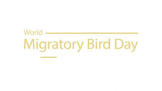 World Migratory Bird Day. Animated icon for splash screen, logo, website, app or design theme idea