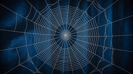 Intricate white spider web on dark blue background