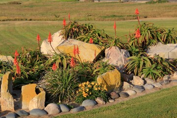 Sonnenuntergang am Strand von Swkopmund