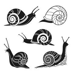 Collection of snail illustrations ©  MST RABEYA  BEGUM