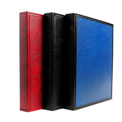 Multi-colored binder set for document organization