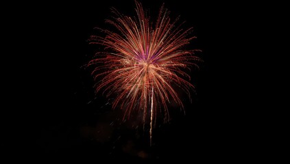 Colorful fireworks bursting against a dark night sky, ideal for event or holiday-themed layouts