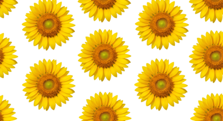 Repeating Pattern of Yellow Sunflowers on Black Background
