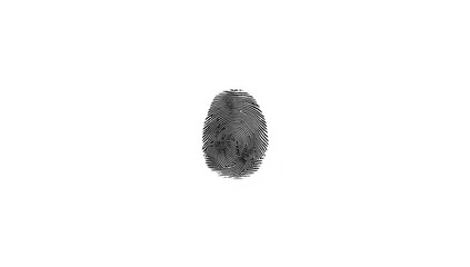 Fototapeta premium Ink fingerprint on white surface, used for biometric security and forensic investigations